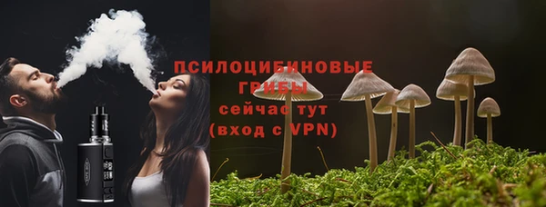 твердый Алексин