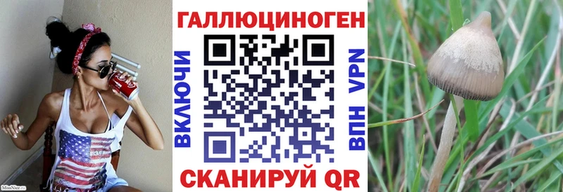 blacksprut онион  Белоярский  Псилоцибиновые грибы GOLDEN TEACHER  где можно купить  