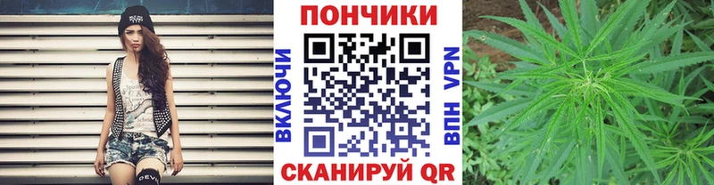 Канабис SATIVA & INDICA  Белоярский 